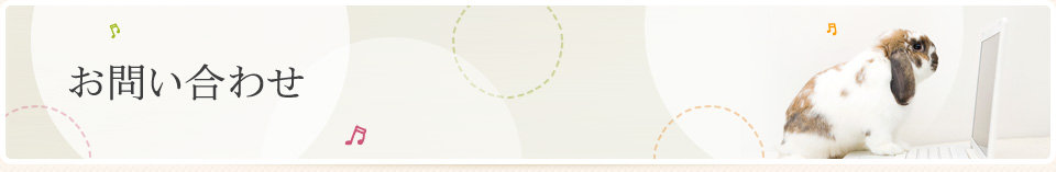 お問い合わせ｜アストのほけん