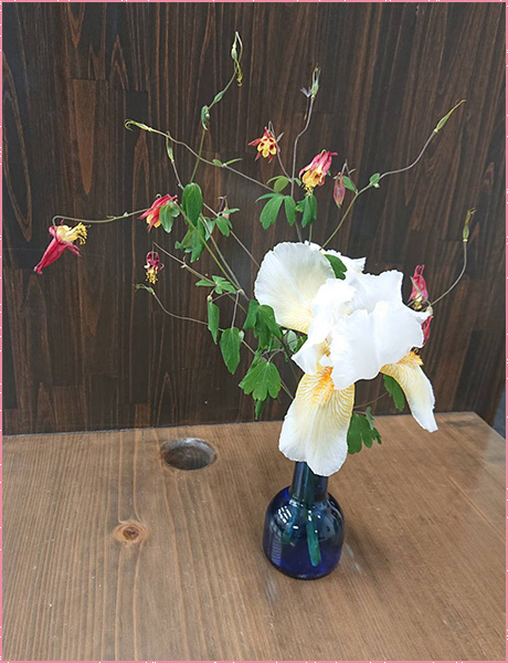 「幸せをよぶオダマキ」