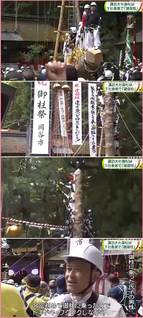 「諏訪大社　御柱祭」