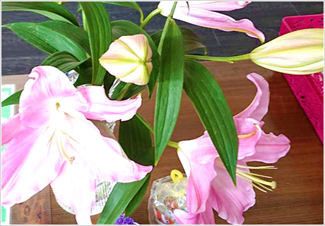 素敵なお花をいただきました！