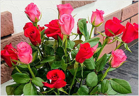 綺麗な薔薇をいただきました