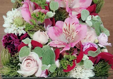 お誕生日おめでとうございます！！